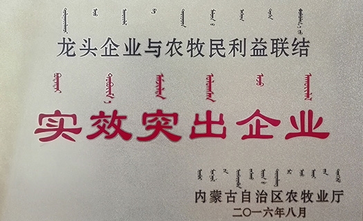 2016龍頭企業與農牧民利益聯結突出企業