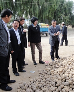 President Zhou Qingfeng, together with Director Zhou Xiaoyan of the Import and E